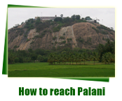 how to reach palani